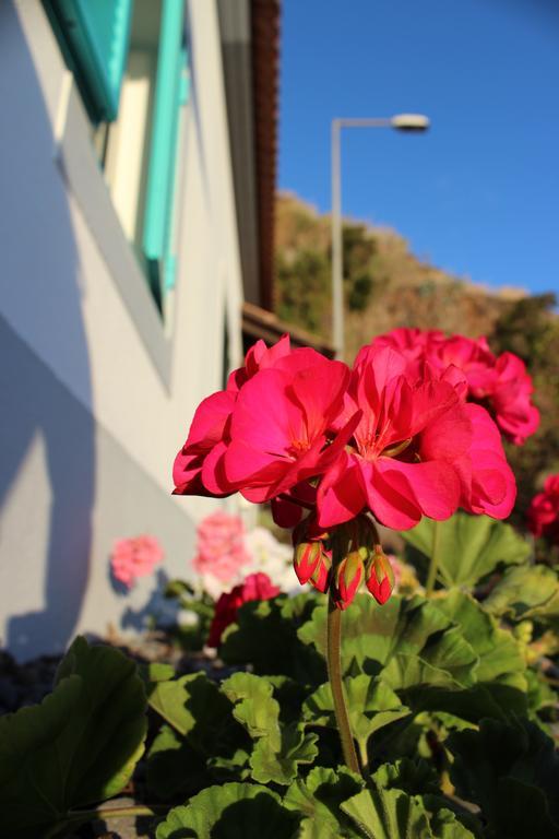 Aqua Sea House Villa Madalena do Mar Екстериор снимка